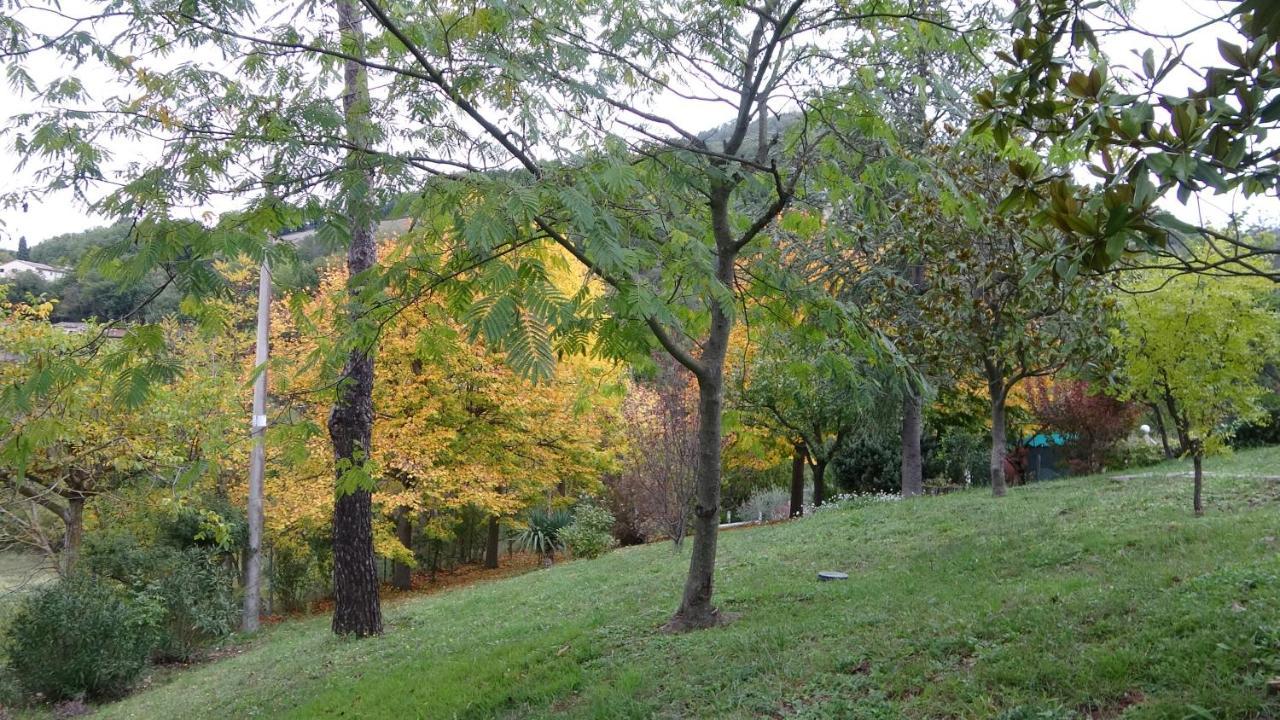 B&B La Poiana Canavaccio di Urbino 외부 사진