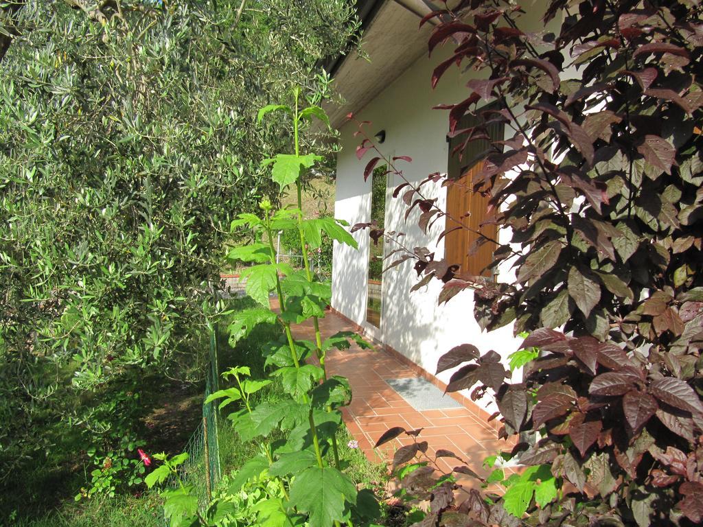 B&B La Poiana Canavaccio di Urbino 외부 사진